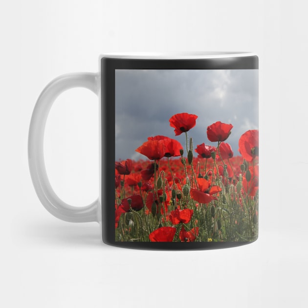 Lest we forget- POPPY HORIZON by mister-john